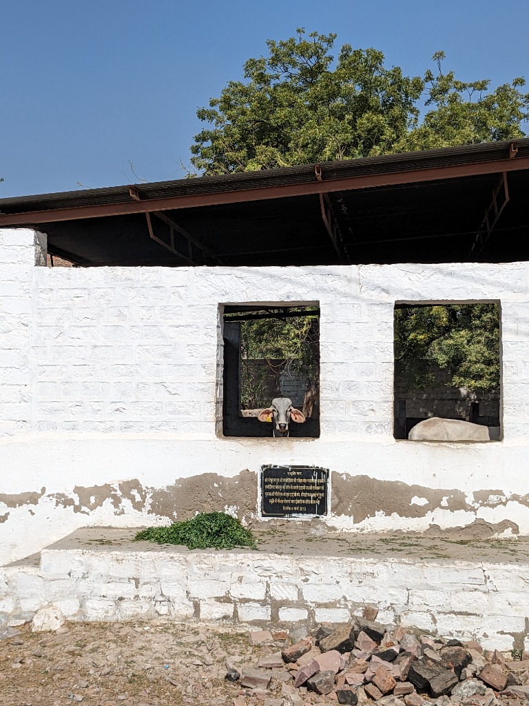 Compassionate Outreach - Animal Welfare